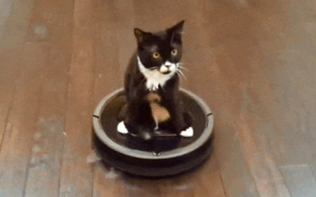 Channeling Your Inner Roomba